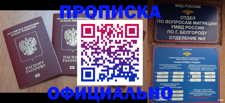 найти адрес прописки в Заинске